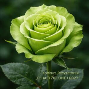 Wyniki: „O LAUR ZIELONEJ RÓŻY” + delegacje: „MAŁY OKR 2026” i 71 OKR